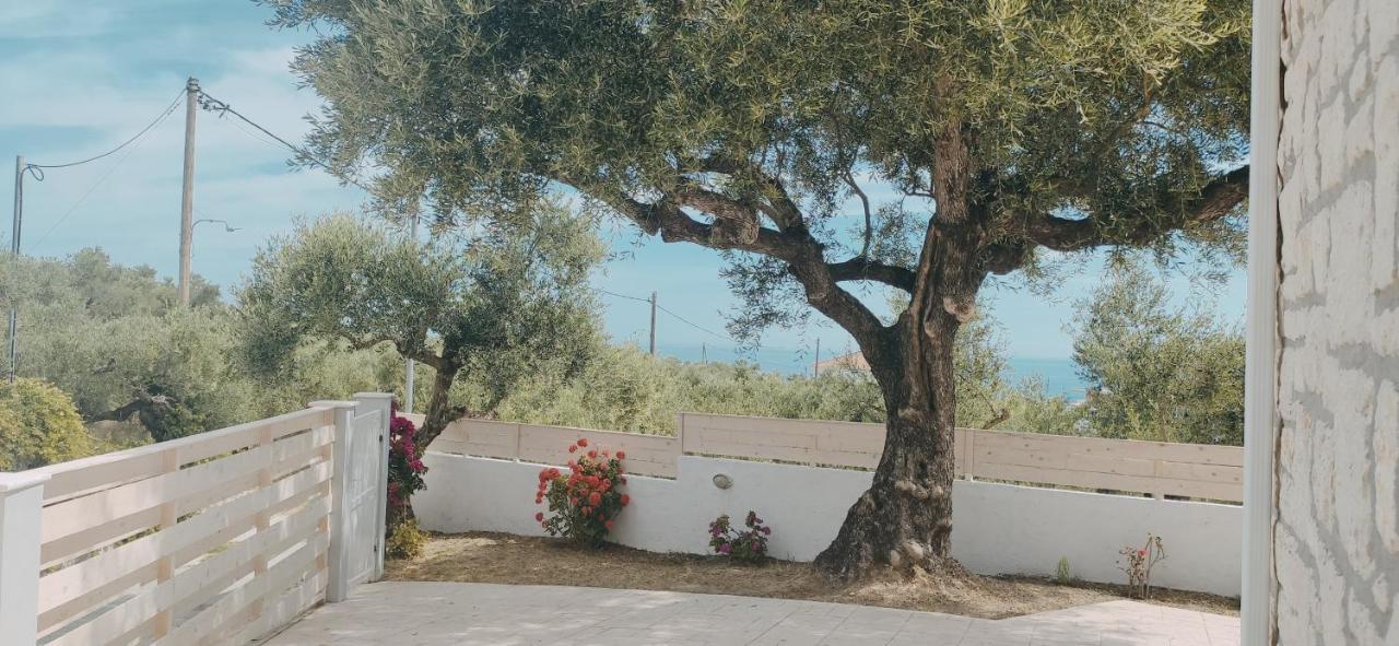 Villa Zante Avia Plános Extérieur photo